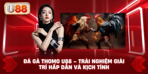 Đá Gà Thomo U88 – Trải Nghiệm Giải Trí Hấp Dẫn Và Kịch Tính