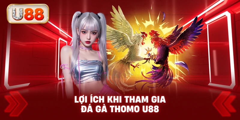 Lợi Ích Khi Tham Gia Đá Gà Thomo U88