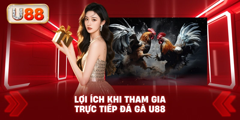 Lợi Ích Khi Tham Gia Trực Tiếp Đá Gà U88