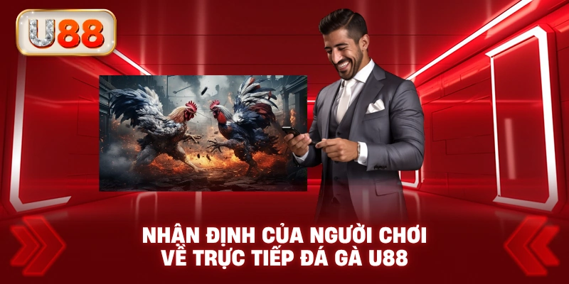 Nhận Định Của Người Chơi Về Trực Tiếp Đá Gà U88